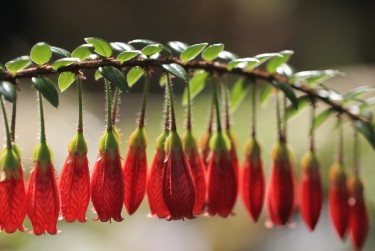 深圳罗湖区3私人快速借钱网，轻松解决资金难题