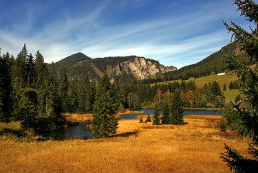 深圳罗湖区3民间私贷攻略：揭秘低成本借贷的秘密