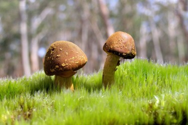 深圳罗湖区3私人老板放款：轻松融资的秘密通道